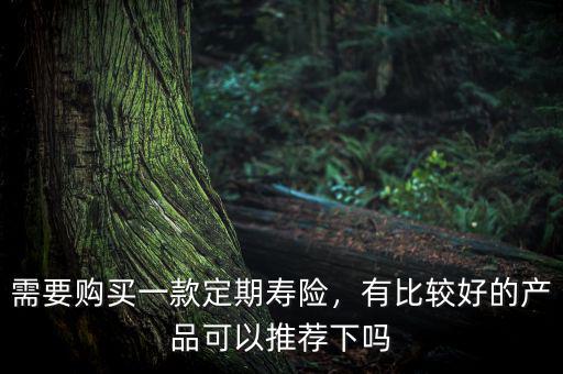 需要購買一款定期壽險，有比較好的產(chǎn)品可以推薦下嗎
