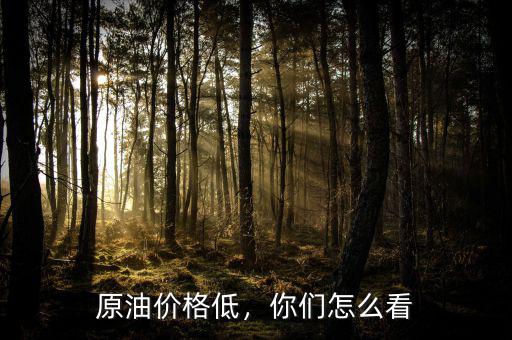 原油價格低，你們怎么看