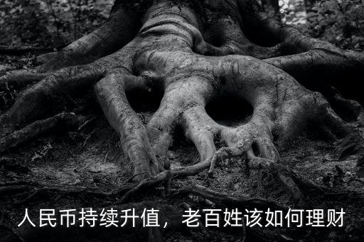 人民幣持續(xù)升值，老百姓該如何理財