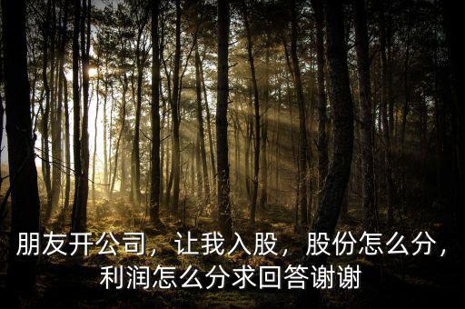 朋友開(kāi)公司，讓我入股，股份怎么分，利潤(rùn)怎么分求回答謝謝