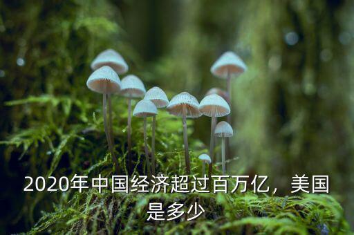 2020年中國經(jīng)濟(jì)超過百萬億，美國是多少
