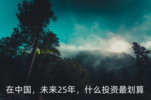 在中國，未來25年，什么投資最劃算