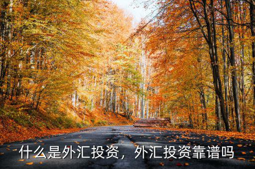 什么是外匯投資，外匯投資靠譜嗎