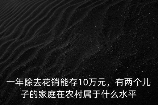 一年除去花銷能存10萬元，有兩個兒子的家庭在農(nóng)村屬于什么水平