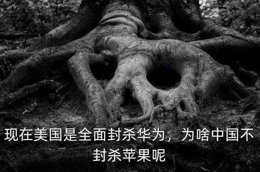 現(xiàn)在美國是全面封殺華為，為啥中國不封殺蘋果呢