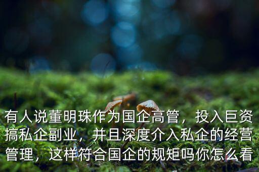 有人說董明珠作為國企高管，投入巨資搞私企副業(yè)，并且深度介入私企的經(jīng)營管理，這樣符合國企的規(guī)矩嗎你怎么看