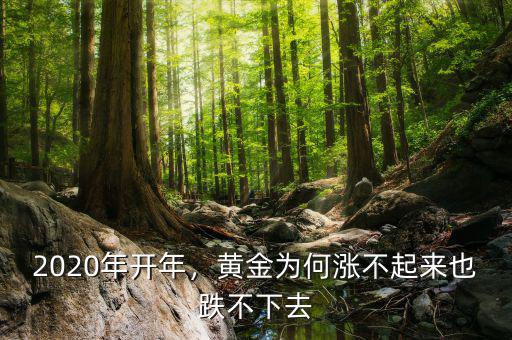 2020年開年，黃金為何漲不起來也跌不下去