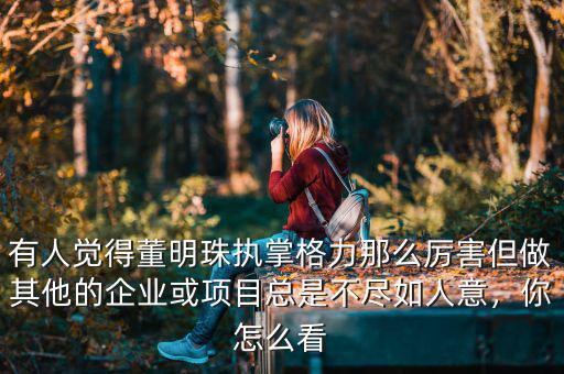 有人覺得董明珠執(zhí)掌格力那么厲害但做其他的企業(yè)或項(xiàng)目總是不盡如人意，你怎么看