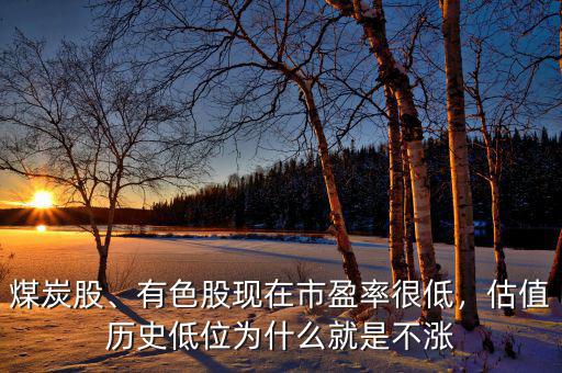 煤炭股、有色股現(xiàn)在市盈率很低，估值歷史低位為什么就是不漲