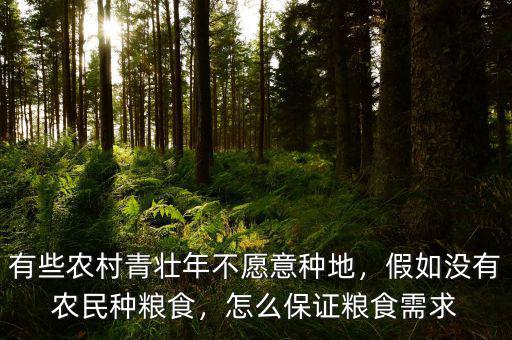 有些農(nóng)村青壯年不愿意種地，假如沒有農(nóng)民種糧食，怎么保證糧食需求
