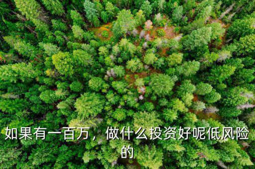 如果有一百萬(wàn)，做什么投資好呢低風(fēng)險(xiǎn)的