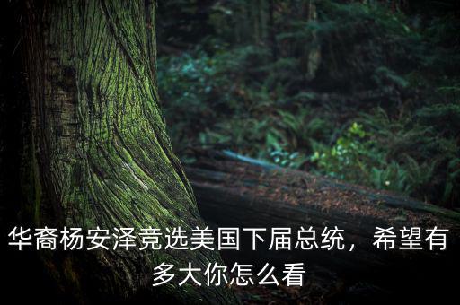 華裔楊安澤競選美國下屆總統(tǒng)，希望有多大你怎么看