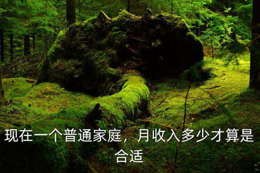 現(xiàn)在一個(gè)普通家庭，月收入多少才算是合適