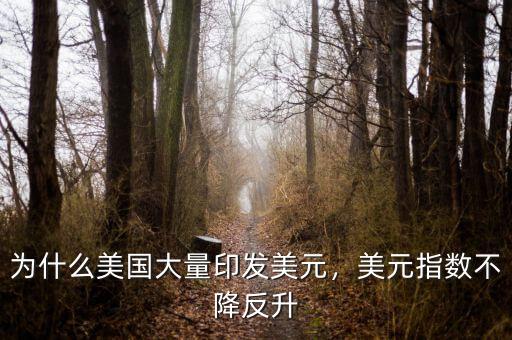 為什么美國(guó)大量印發(fā)美元，美元指數(shù)不降反升