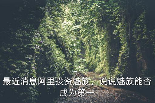 最近消息阿里投資魅族，說說魅族能否成為第一