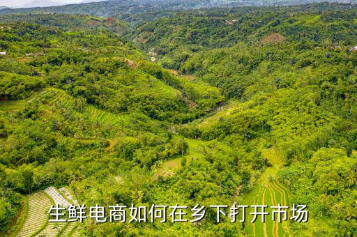 生鮮電商如何在鄉(xiāng)下打開市場(chǎng)