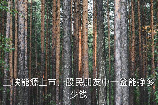 三峽能源上市，股民朋友中一簽?zāi)軖甓嗌馘X