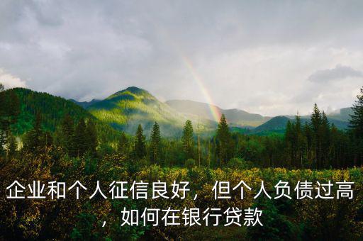 企業(yè)和個人征信良好，但個人負債過高，如何在銀行貸款