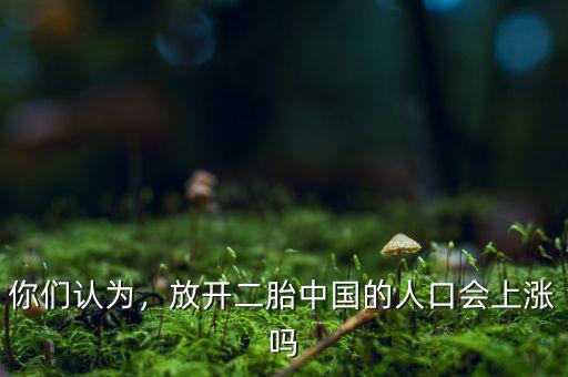 你們認(rèn)為，放開二胎中國的人口會上漲嗎