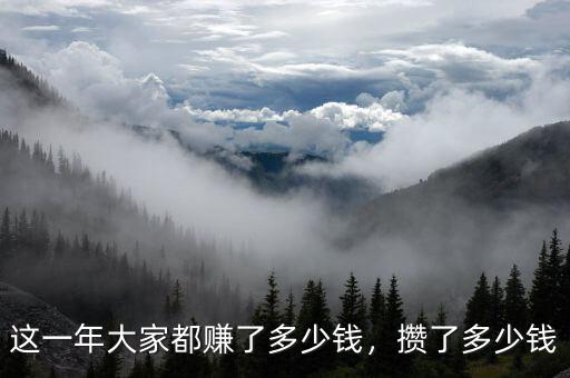 這一年大家都賺了多少錢，攢了多少錢
