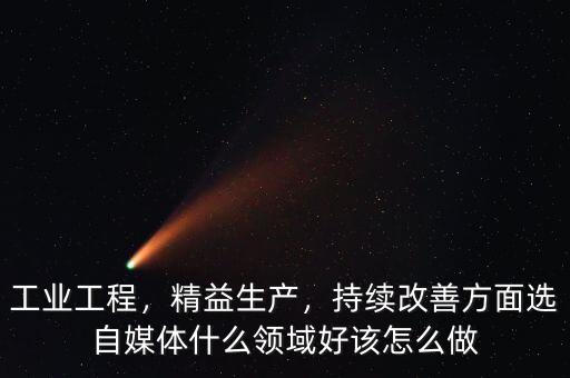 工業(yè)工程，精益生產(chǎn)，持續(xù)改善方面選自媒體什么領(lǐng)域好該怎么做