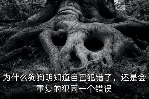 為什么狗狗明知道自己犯錯(cuò)了，還是會(huì)重復(fù)的犯同一個(gè)錯(cuò)誤