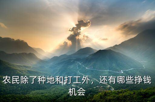 農(nóng)民除了種地和打工外，還有哪些掙錢機會