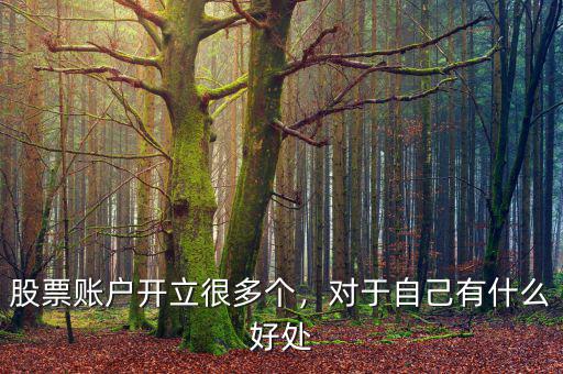 股票賬戶開立很多個，對于自己有什么好處