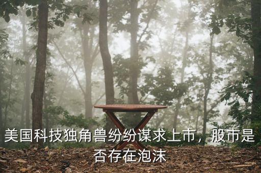 美國(guó)科技獨(dú)角獸紛紛謀求上市，股市是否存在泡沫