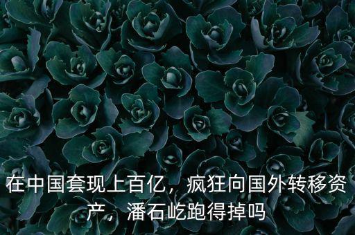 在中國套現(xiàn)上百億，瘋狂向國外轉(zhuǎn)移資產(chǎn)，潘石屹跑得掉嗎