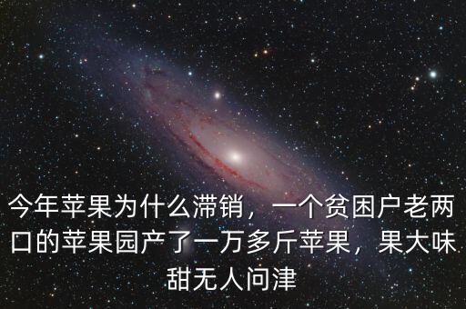 今年蘋(píng)果為什么滯銷(xiāo)，一個(gè)貧困戶(hù)老兩口的蘋(píng)果園產(chǎn)了一萬(wàn)多斤蘋(píng)果，果大味甜無(wú)人問(wèn)津