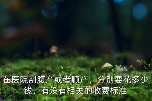 在醫(yī)院剖腹產(chǎn)或者順產(chǎn)，分別要花多少錢，有沒有相關(guān)的收費(fèi)標(biāo)準(zhǔn)