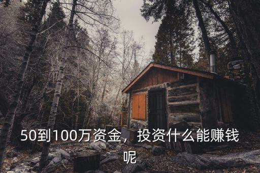 50到100萬資金，投資什么能賺錢呢