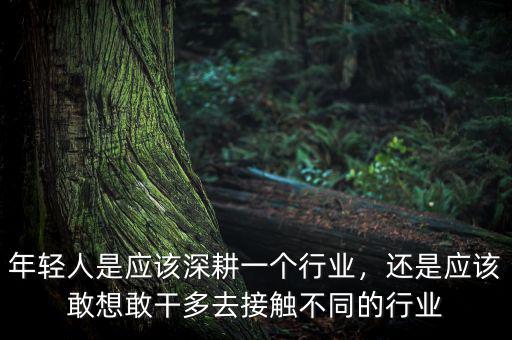 年輕人是應(yīng)該深耕一個行業(yè)，還是應(yīng)該敢想敢干多去接觸不同的行業(yè)