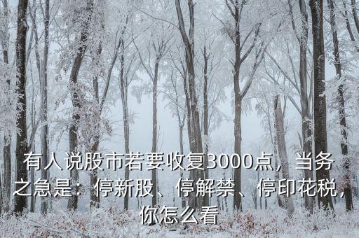 有人說股市若要收復(fù)3000點(diǎn)，當(dāng)務(wù)之急是：停新股、停解禁、停印花稅，你怎么看