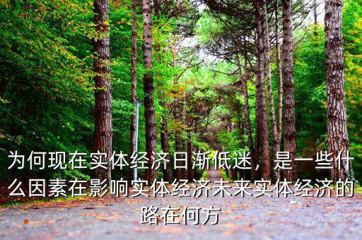 為何現(xiàn)在實(shí)體經(jīng)濟(jì)日漸低迷，是一些什么因素在影響實(shí)體經(jīng)濟(jì)未來(lái)實(shí)體經(jīng)濟(jì)的路在何方