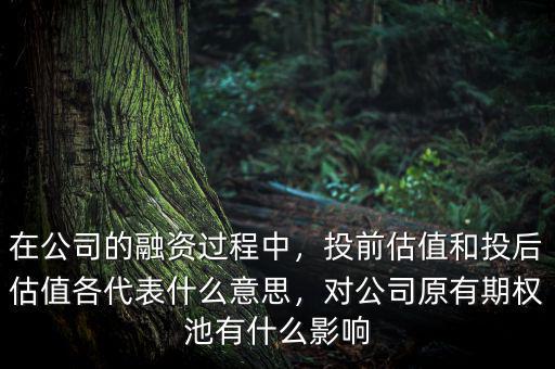 在公司的融資過(guò)程中，投前估值和投后估值各代表什么意思，對(duì)公司原有期權(quán)池有什么影響