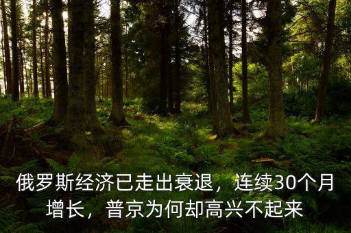 俄羅斯經(jīng)濟(jì)已走出衰退，連續(xù)30個(gè)月增長(zhǎng)，普京為何卻高興不起來