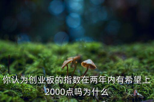 你認為創(chuàng)業(yè)板的指數在兩年內有希望上2000點嗎為什么