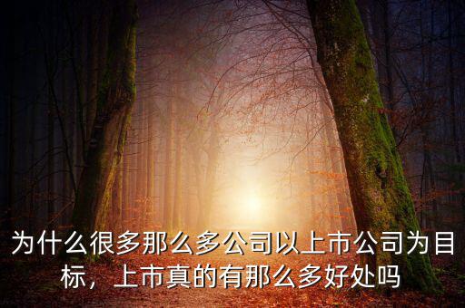 為什么很多那么多公司以上市公司為目標，上市真的有那么多好處嗎