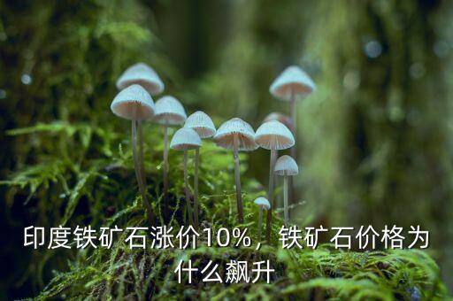 印度鐵礦石漲價(jià)10%，鐵礦石價(jià)格為什么飆升