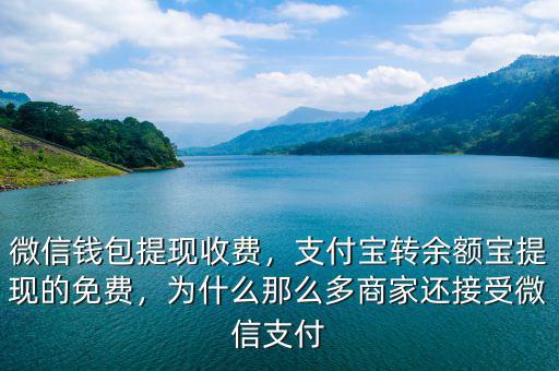微信錢包提現(xiàn)收費，支付寶轉(zhuǎn)余額寶提現(xiàn)的免費，為什么那么多商家還接受微信支付
