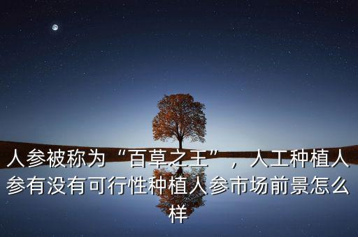 人參被稱為“百草之王”，人工種植人參有沒有可行性種植人參市場前景怎么樣
