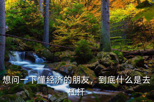想問一下懂經(jīng)濟(jì)的朋友，到底什么是去杠桿