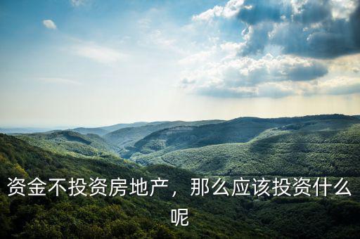 資金不投資房地產(chǎn)，那么應該投資什么呢