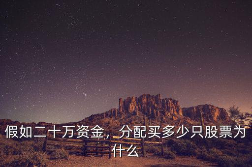 假如二十萬資金，分配買多少只股票為什么