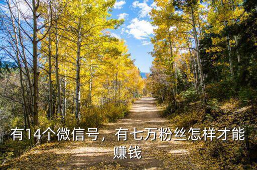有14個(gè)微信號(hào)，有七萬(wàn)粉絲怎樣才能賺錢(qián)