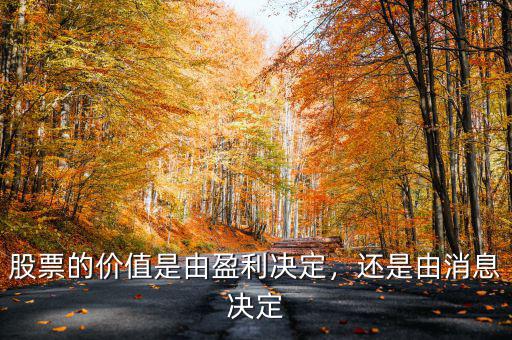 股票的價值是由盈利決定，還是由消息決定