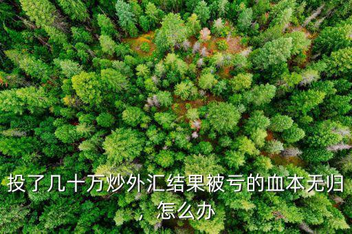 投了幾十萬炒外匯結(jié)果被虧的血本無歸，怎么辦