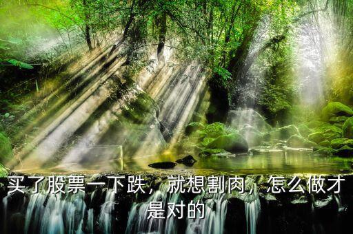 買了股票一下跌，就想割肉，怎么做才是對的